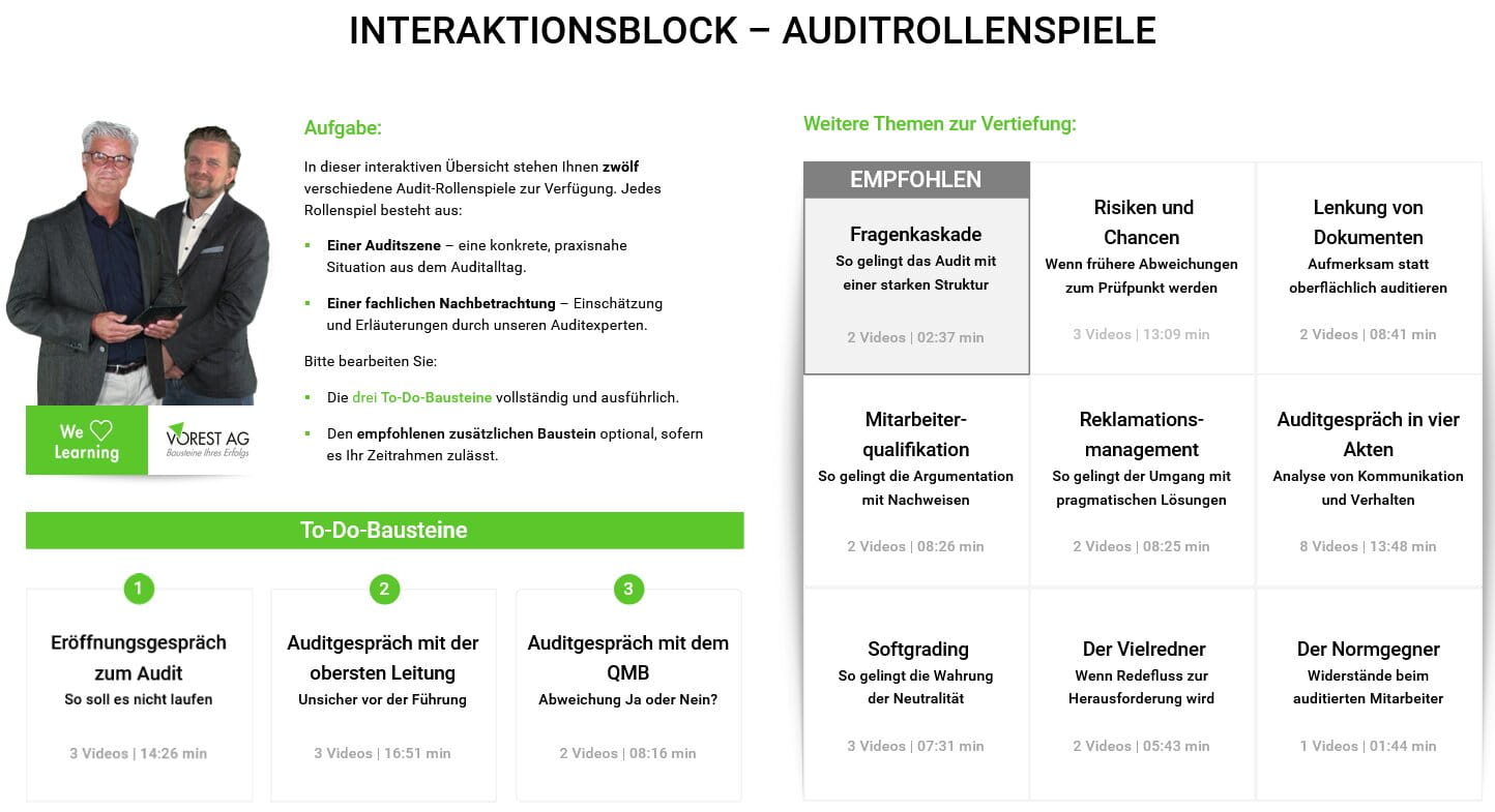 Auditrollenspiel Szenario