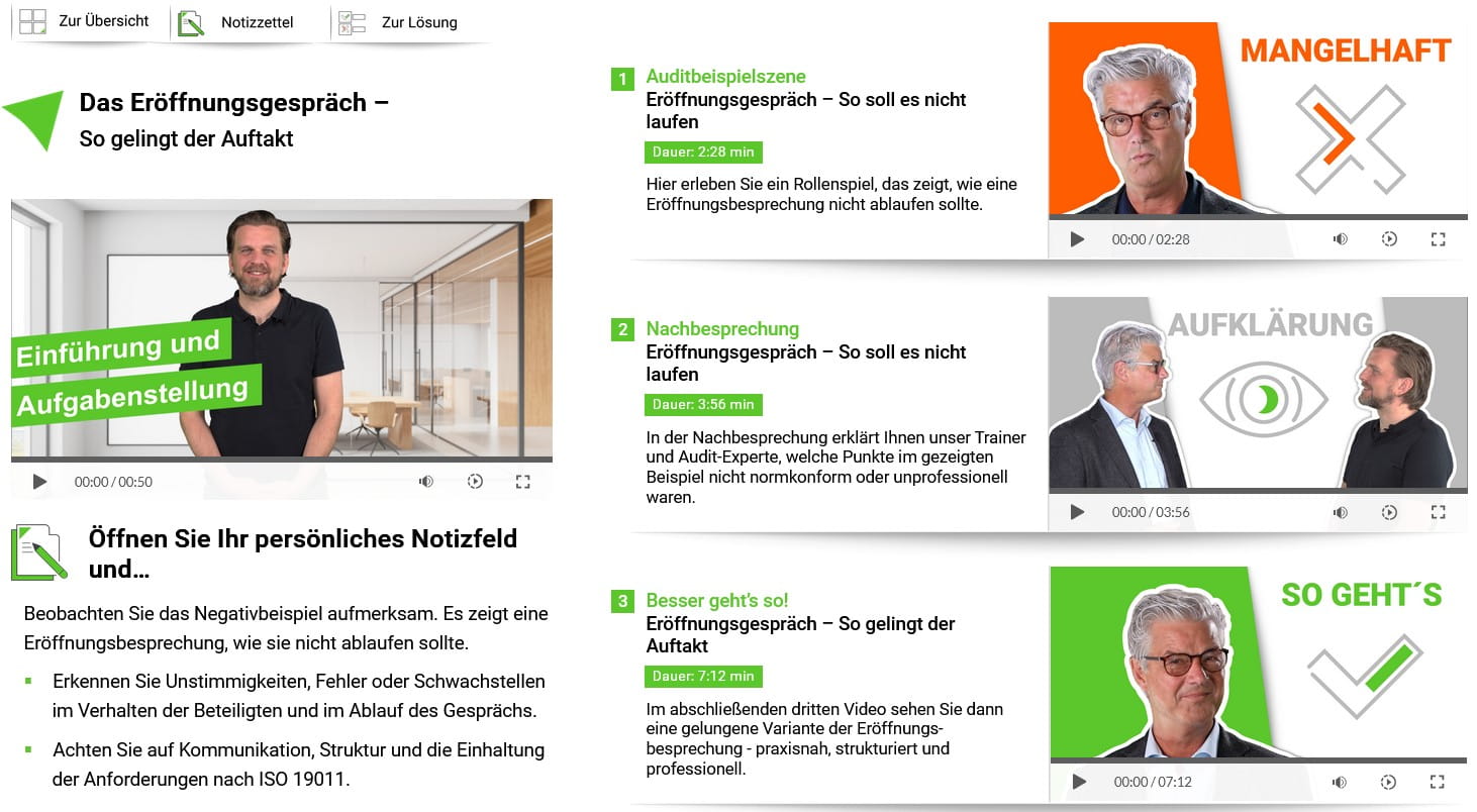 Auditrollenspiel Szenario